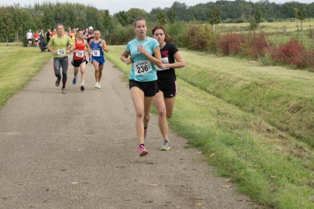 Heidekampparkrun